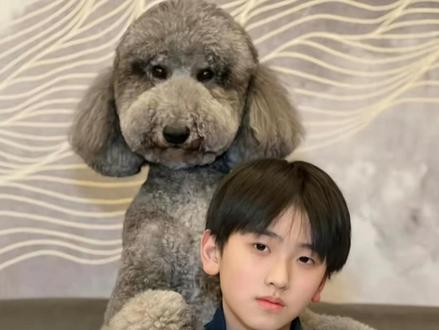 注意这不是ai #左奇函 #萌宠 #养成系 #抽象