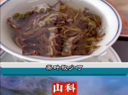 错误的喝茶方式等于慢性自杀,你犯过吗?#喝茶 #食品安全 #科普