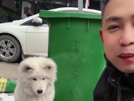 商家为啥不让狗狗吃呢?