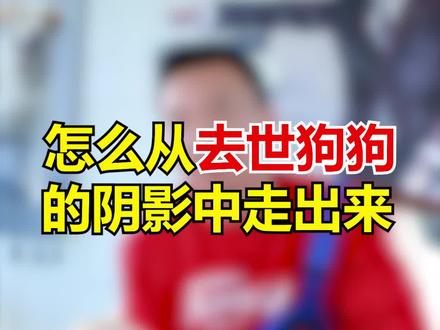 狗狗没了你还会选择再养一只吗?#狗狗 #萌宠 #萌宠出道计划 #萌宠出道练习生