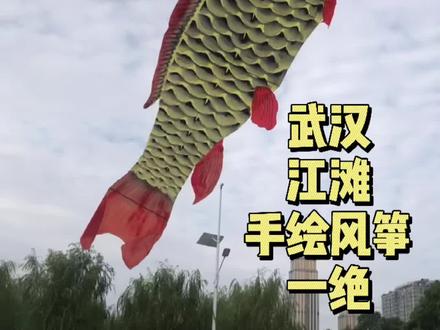 鲤鱼李 风筝 武汉江滩 风筝节 民间艺人 手绘风筝 艺术 玩 旅游 汉口 老有所乐 江滩一绝 艺术