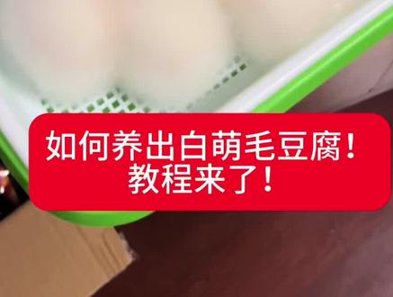毛豆腐教程来了!
主包一到家洗好手马不停蹄开始做教程!
#毛豆腐 #霉豆腐 #毛豆腐制作方法 #毛豆腐了解一下
