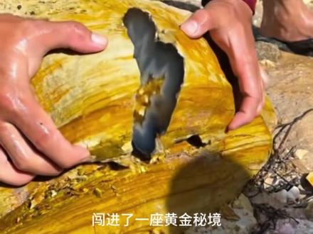 男人在野外意外挖到黄金 #纪录片