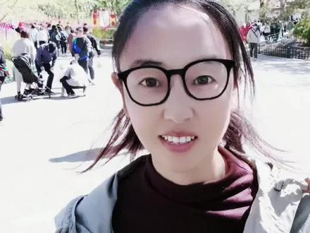 如果您是外地来北京的朋友,时间宝贵,不要去玉渊潭公园了,把时间放在更值得看的景区!#北京旅游 #北京导游 #玉渊潭公园