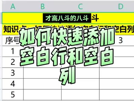WPS中如何快速添加空白行和空白列?你学会了吗?#表格技巧 #表格制作教程从零开始 #ctrl