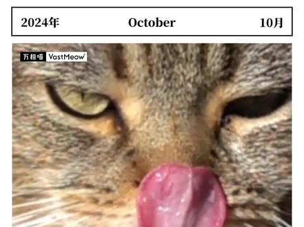猫咪感到紧张时,可能会频繁舔嘴唇 🔺为什么猫紧张时会舔嘴唇?
舔嘴唇是一种转移行为,在动物行为学中,这是猫咪在压力下的一种下意识反应。转移行为可以帮助猫咪应对内部的冲突情绪,例如不安、紧张或恐惧。舔嘴唇的动作能暂时分散它们的注意力,缓解焦虑。除此之外,猫咪在感到困惑或面对无法预测的情况时,也会通过这种行为来释放紧张情绪。
🔺什么时候猫会因紧张表现出舔嘴唇行为?
猫咪在面对陌生环境、与陌生人接触或感到惊吓时,可能会表现出舔嘴唇的行为。此外,去宠物医院、乘车、被陌生人靠近或感受到周围突如其来的噪音时,都是它们常见的紧张情境。主人可以通过观察这种行为来判断猫咪的情绪状态。
#猫 #猫紧张 #万相喵VastMeow #猫咪 #猫咪的迷惑行为