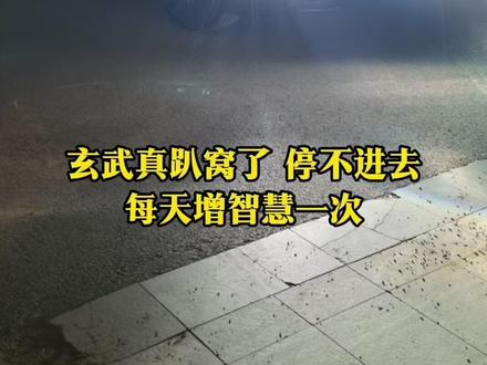 这么好的车怎么不早告诉我? #享界 #享界s9t