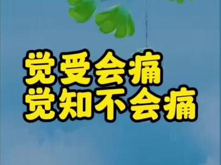 觉受会痛,觉知不会痛#修心修行 #佛法禅理 #体佛法师