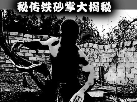 中华传奇武术铁砂掌 #顾汝章秘传铁砂掌#中华武术博大精深