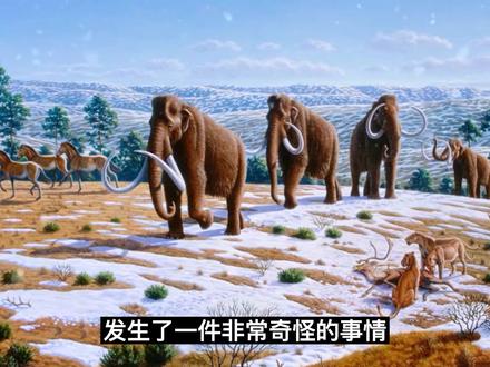 脑洞大开:被认为极有可能还存在地球上的5种史前生物