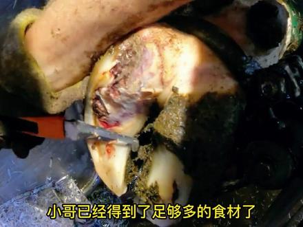 #解压视频 #修驴蹄 #强迫症看了很享受 #极度舒适 #极度解压