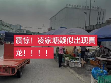 真龙现身凌家塘,保佑尔等平平安安!顺风顺水🙏🙏🙏🙏