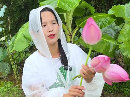 下雨天的荷花,格外的清香袭
人,直接让我想吃一盘荷花酥解解馋#新农村计划2022 #我的乡村生活 #乡村田野美景 #人类幼崽成长记 #荷花酥