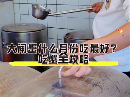 为什么这个月吃母蟹? 大闸蟹什么月份吃最好?吃蟹全攻略
大闸蟹最佳的食用月份通常集中在农历(中秋节)到农历十二月(对应公历大致是9月底至12月初),这段时间内大闸蟹的品质和口感达到巅峰。
具体可以分为三个关键时期:
尝鲜季:大约在农历八月十五到九月上旬(公历对应9月底至10月初)这个时期是大闸蟹刚上市的时候,适合品尝小规格的母蟹,虽然蟹黄可能还未完全成熟,但能解馋,
母蟹季:一般在农历九月份(公历的10月中旬到11 月上旬),此时母蟹的蟹黄特别丰满,肉质饱满,口感浓郁,是品尝母蟹的最佳时期。
公蟹季:进入农历十月,公历的10月下旬到12月份, 公蟹的肉质变得非常结实,蟹膏丰富,口感糯腻, 是享用公蟹的最好时节。
“九雌十雄”是挑选大闸蟹的一个传统原则,意味着农历九月吃母蟹,十月吃公蟹,这时的蟹肉和蟹黄(公蟹的蟹膏)都达到了最佳状态。#新泰同城#清蒸大闸蟹#香辣蟹