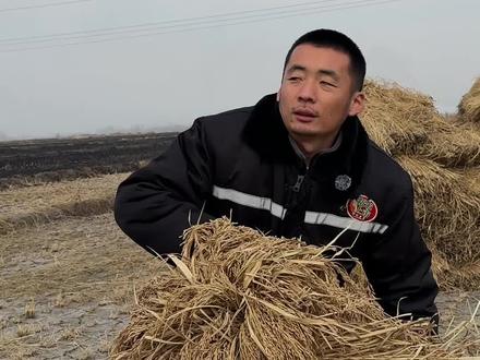 #五常大米#稻花香#新米 那种才是真正的五常大米!