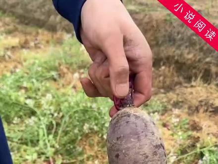 高考出分后,考了全校第二的我,毅然决然从高楼跃下。
只因考试前一晚,宋婷瑶对我说她有读心术,不仅能知道我所有答案,还能正好比我高一分。
我不信邪,考试的时候什么都不想,但考完对答案时,宋婷瑶却将我的答案倒背如流。
出分后,更是以一分之差力压我,抢走最后一个清北名额。
她拍拍我惨白的脸,笑得得意。
“苏木,像你这种下等人乡巴佬,还妄想通过高考改命?赶紧和你的短命鬼爸妈一起去死吧!”
没拿到清北奖学金的我,眼睁睁看着病重的父母离世,随后自己也带着绝望的心情从楼上跳下。
但死前我都不明白,宋婷瑶为什么能知道我所有答案,还会精准地比我多考一分?
难道这世上真有读心术不成?
再睁眼,我重回高考前夕,这一次,我一定不会再输了!
#刚刚好故事会 #重生 #打脸 #虐渣 #复仇
