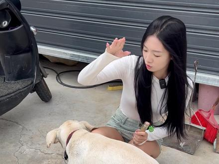 图图切翡翠也木西! #翡翠 #图图翡翠 #图图寻翠