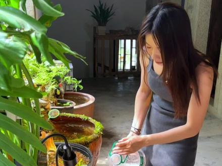 村里随处可见的破水缸用来养鱼,结果几千万人问我哪里买的,今天从头到尾给大家做一遍,开缸教程来啦!#古法养鱼 #生态缸