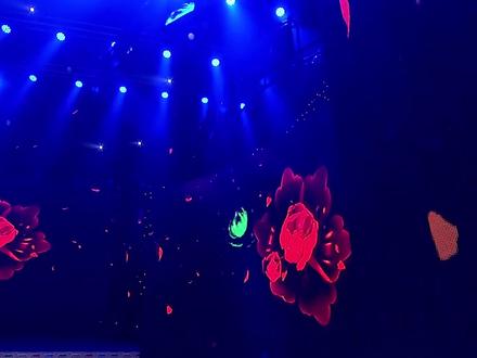 道歌 公保东主 青宗