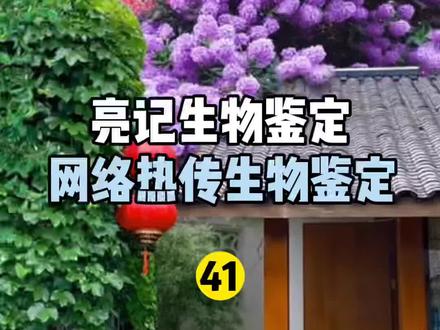 网络热传生物鉴定41#亮记生物鉴定