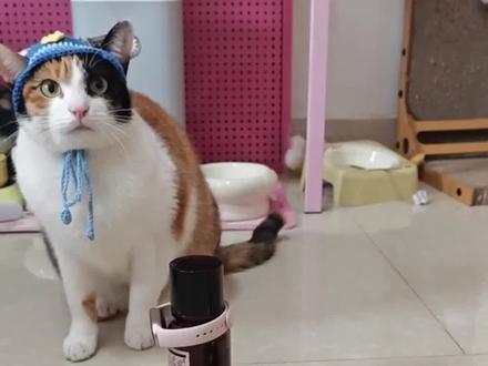 真棒小猫疑似出现猫传人现象,工作室巧设连环计,周深误入美术生断头台#周深 #胡萝卜纸巾猫 #真棒 #真棒小猫 #看看谁是萝卜纸巾挑战的十级学者