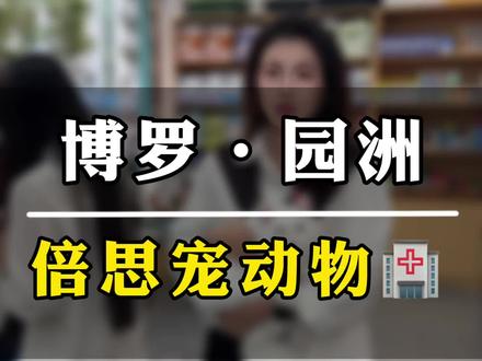 母猫豪华版绝育399,公猫豪华版绝育299#倍思宠动物医院 #BECKY宠物医院 #猫咪绝育 #猫咪疫苗 #养宠知识