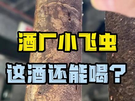 #白酒 #酒知识 #酒文化 #高启强 你知道酒厂里的酒虫吗?