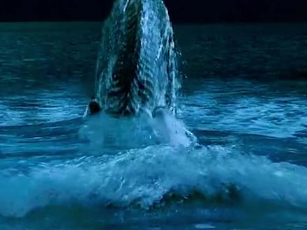 你们知道尼斯湖水怪吗?? #单机游戏 #主机游戏 #动物园之星