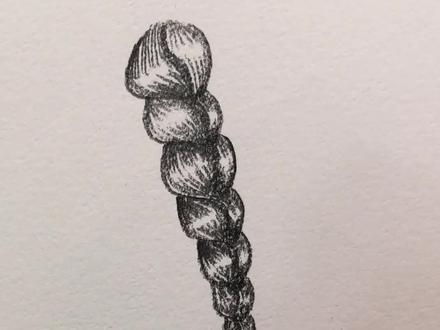 麻花辫 绘画小技巧#素描 #抖音小助手