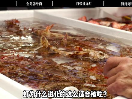 知识春节解读|虾为什么进化的这么适合被吃?#知识 #科普 #虾 #抖音年味新知贺岁