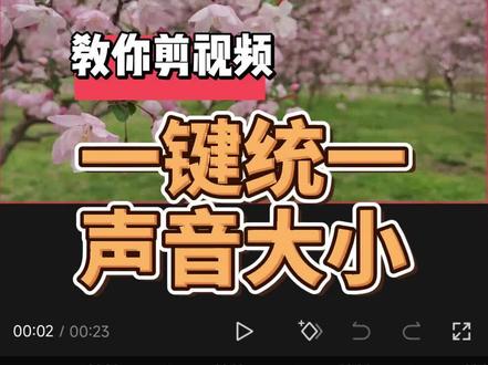 教你剪视频,所有片段音量一起调,声音大小统一,统一音量 #剪映技巧 #短视频剪辑教程 #合肥学摄影