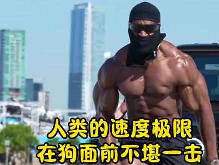 人类的速度极限在狗面前不堪一击