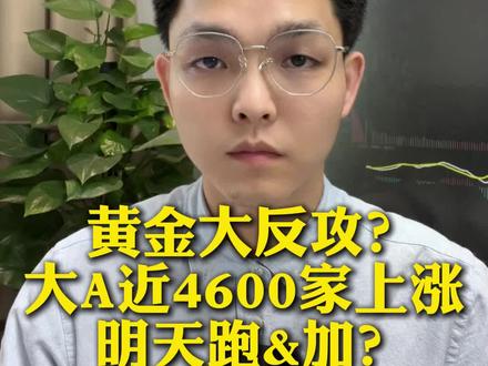 黄金有色大反攻?机会还是风险? A股超4800家上涨📈,超80家涨停,明天要起飞了?#股民 #股票 #A股 #真实生活分享计划