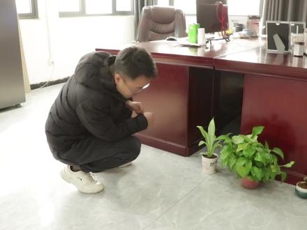 校长的蜗牛眼睛被扯断,没想“凶手”竟是一个球?到底怎么回事?