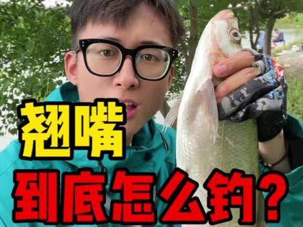 翘嘴很难钓嘛?为什么你钓不到?到底该怎么钓?一个视频解决你所有疑虑,让你轻松爆连!#钓鱼 #翘嘴 #黑坑盘老板 #钓鱼技巧 #咸鱼湫