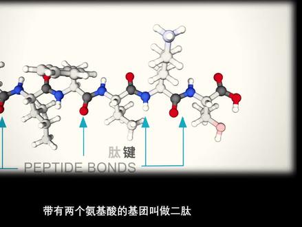 家有高中学生的看过来, 神奇的蛋白质折叠,搞不清楚蛋白质四级结构的看过来 #蛋白质折叠 #高考 #生物