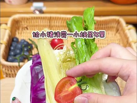 今天是大鼻孔猪的蔬果大餐! #萌宠 #荷兰猪