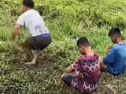 辛巴来了都绷不住#神操作 #耕田 @@DOU+抖音 @DOU+上热门 @比路虎还爱路的男人