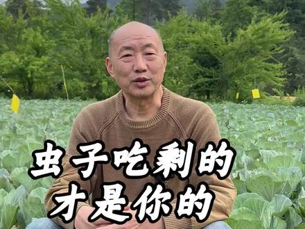 虫子吃剩的才是你的——人生也一样 你给虫子留两口,它就不跟你拼命。留余地的人,天地都帮你。
#留余地 #人生哲学 #虫子吃剩的才是你的 #种地悟人生 #利他即利己