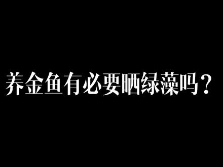 清水绿苔养金鱼的真相,鱼缸绿藻怎么培养和日常维护,绿藻的弊端 #清水绿苔 #兰寿金鱼 #观赏鱼 #养鱼日记 #金鱼 #水族 #萌宠 #养鱼养心 #养鱼人 #轻松养鱼