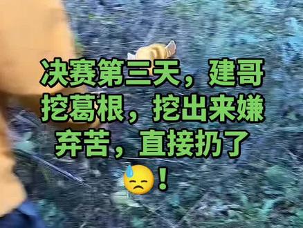 决赛第三天,建哥挖葛根,挖出来嫌弃苦,直接扔了😓!@荒野建哥
