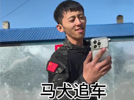 坚持一个礼拜。 一个礼拜没搞定的话,找二姨去帮你找。#小乐训犬 #佳木斯训犬 #狗追车