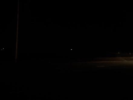 五百颗水母,看效果 #水母烟花 #烟花秀 #烟花最浪漫的一瞬间 #除夕快乐