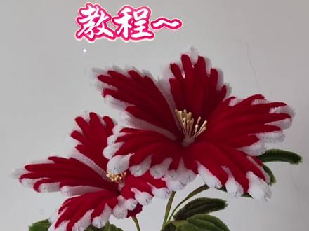 来了来了!有姐妹知道这是什么花吗?#万物皆可扭一扭#纯手工花花 #简单手工花制作教程#扭扭棒的100种玩法
