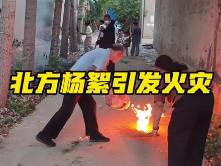 不起眼的杨絮,竟是火灾隐患 #杨絮防火 #消防安全 #生活常识