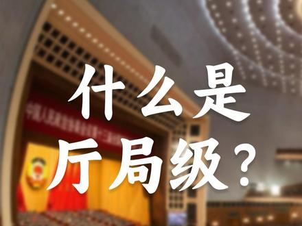 什么是厅局级?#体制内 #公务员 #考公 #正厅级