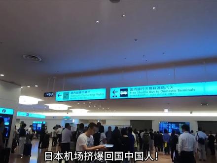 再不回就来不及了? #硬核深度计划 #日本 #国际 #热点