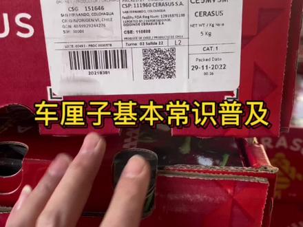 #车厘子 #车厘子自由 关于车厘子的最基本常识,你们学会了吗?