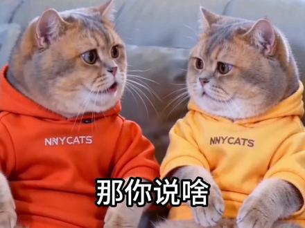 胖墩和胖丫真掰啦?胖墩都去相亲啦!!! #哈基米 #卫龙双麻组合 #卫龙地道麻酱海带 #卫龙老北京麻酱海带 #可爱