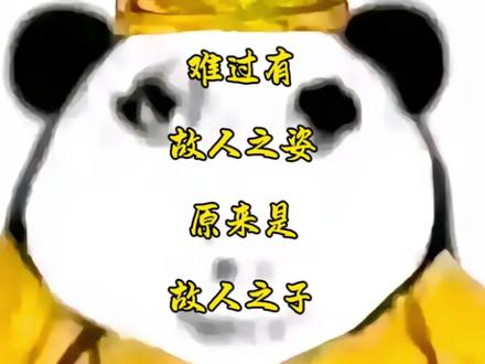 原来是故人之子!#羽毛球 #羽毛球拍